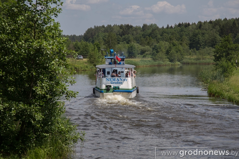 IMG_6595.jpg