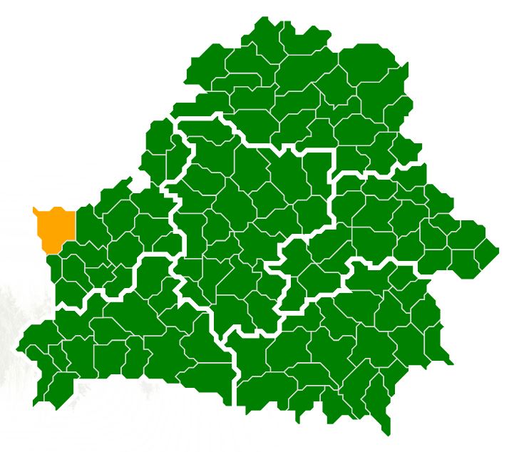 апавпп.JPG