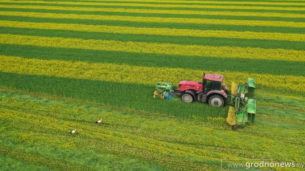 DJI_0004.JPG