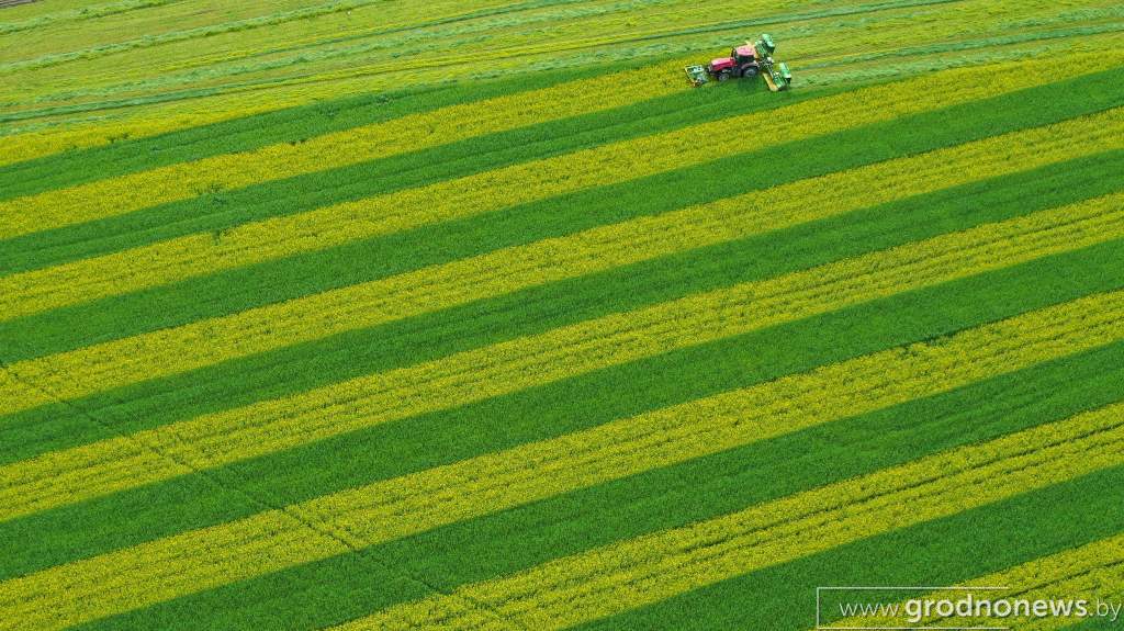 DJI_0991.JPG