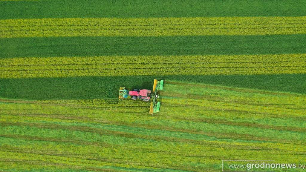 DJI_0996.JPG