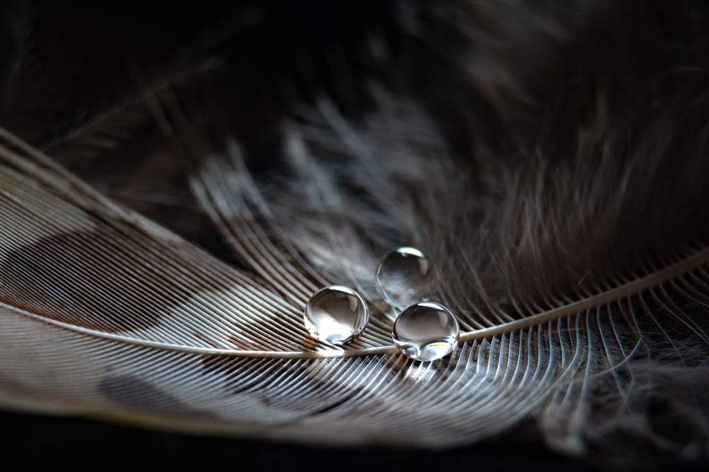 03.DSC_1183.jpg