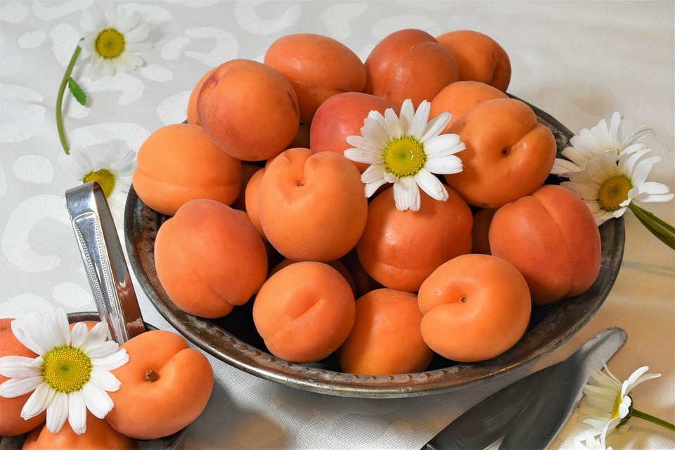 apricots-4219809_960_720.jpg