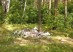 За свалку в лесу можно будет отдать штраф до 50 базовых величин