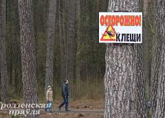 В этом году клещи проснулись раньше обычного 