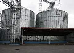 Как по маслу. Высокий урожай рапса на Гродненщине позволил полностью загрузить все перерабатывающие предприятия