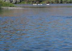 В понедельник тела трех утонувших найдены в реках  и водоемах области