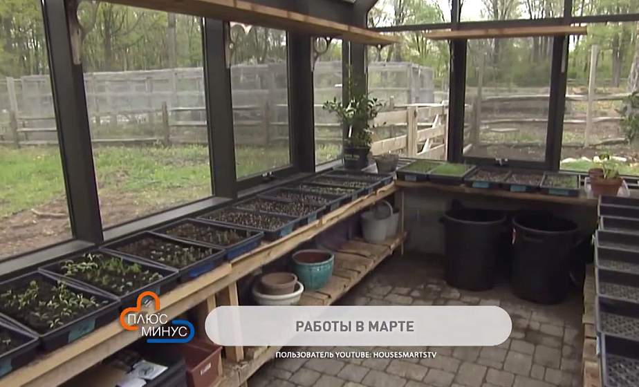 Готовим теплицу к весенним посадкам. Что важно сделать для хорошего урожая?