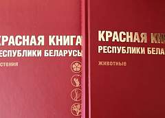 Готовится 5-е издание Красной книги Беларуси