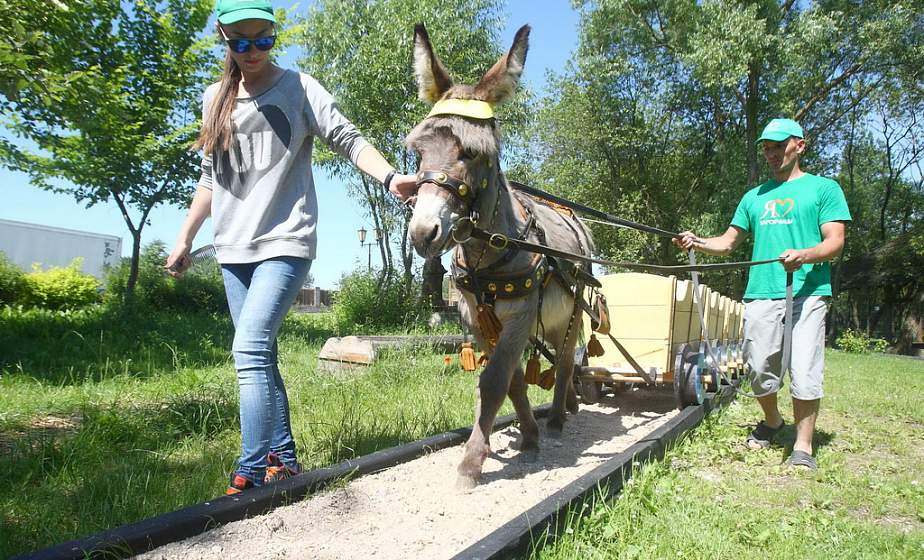 Детей по железной  дороге прокатит  ослик 
