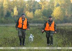 Сезон охоты на пушных животных открывается в Беларуси 2 ноября