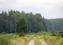 До +34°С и грозы прогнозируют в Беларуси 18 августа