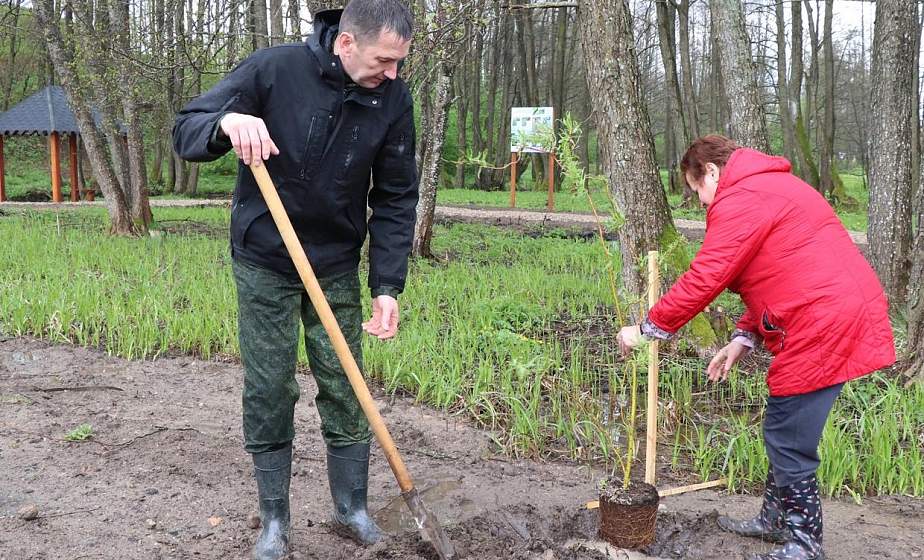 В Ивьевском районе появилась рекреационная зона