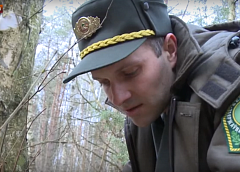 Лясгасы Гродзеншчыны рыхтуюцца да збору бярозавага соку (відэа)