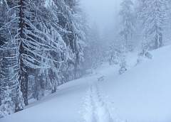 Сильный снег ожидается по северу Беларуси в ночь на 24 ноября