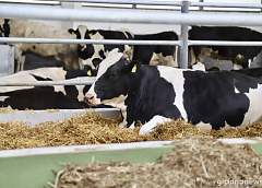 КГК области провел контрольные мероприятия в 40 сельскохозяйственных организациях всех районов 