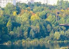 В лесопарке Румлево прошла экологическая игра «Экофест»