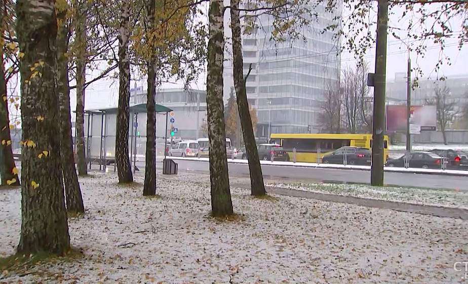 Если 15 ноября будет дождь, скоро наступят заморозки. Какие приметы подскажут приход зимы? (+видео) Если 15 ноября будет дождь, скоро наступят заморозки. Какие приметы подскажут приход зимы? (+видео)