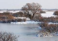 До 22 градусов мороза ожидается 18 марта в некоторых районах Беларуси