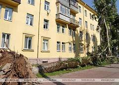 Самостоятельно или с разрешением? В Минприроды рассказали, как правильно убирать упавшие деревья