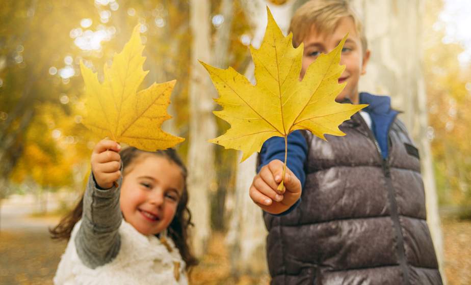 Пройдут экотропами, научатся фотографировать. Что будут делать школьники на осенних каникулах? Пройдут экотропами, научатся фотографировать. Что будут делать школьники на осенних каникулах?