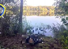 В Гродненском районе утонул пенсионер. Следователи проводят проверку