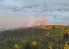 Лесной пожар в Вороновском районе ликвидирован