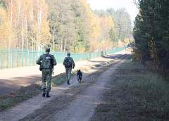 Труп мужчины обнаружен на белорусско-польской границе