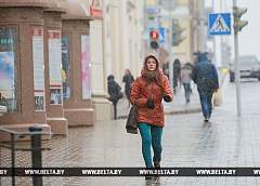 В Беларуси 12 ноября пройдут дожди, местами с мокрым снегом