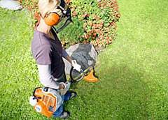 Мотокоса STIHL FS 55 — ваш оптимальный выбор