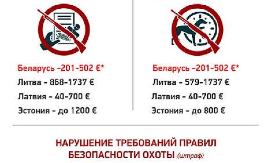 Инфографика: Штрафы за незаконную охоту