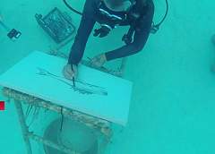 Художник-дайвер рисует под водой картины с морскими пейзажами