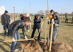 Тысячи гродненцев приняли участие в городском субботнике 13 апреля