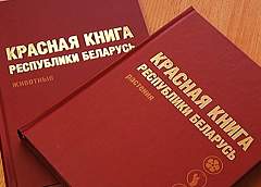 В Минприроды пояснили, как действовать при обнаружении "краснокнижников"