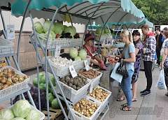 Спрос на садово-огородную продукцию выше прошлогоднего