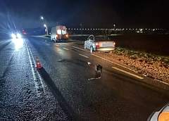 В Гродненском районе в ДТП пострадал пешеход