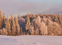 Кратковременный снег и до -17°С. Какая погода будет в Беларуси 18 февраля