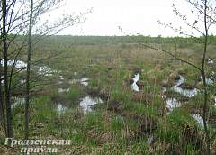 Болото Дикое получило международный статус