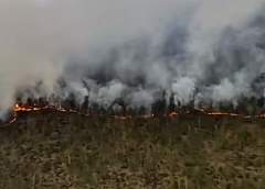 В Вороновском районе разбушевался лесной пожар