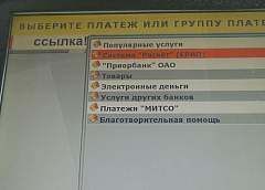 Оплатить госпошлину на въезд и пребывание в белорусской пограничной зоне теперь можно через ЕРИП