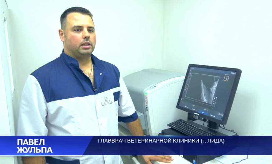 Лидский ветеринар решился на протезирование конечности у собаки (+видео)
