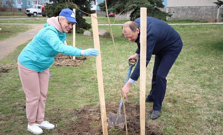 Профсоюзы Гродненщины заложили новую аллею на улице Курчатова в Гродно