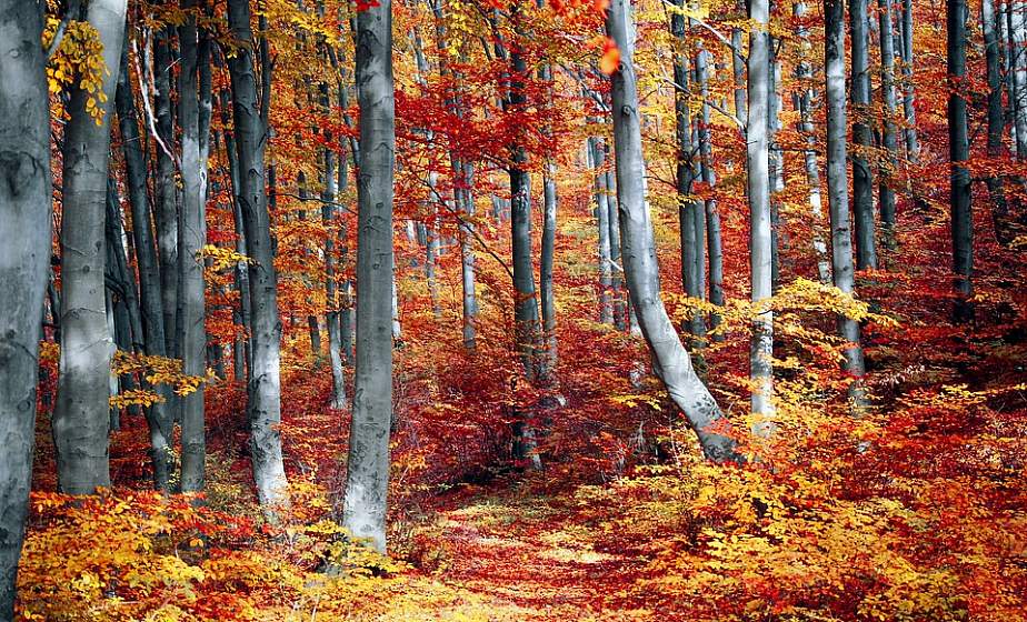 Тепло, но с дождями. Погода в Беларуси на неделю Тепло, но с дождями. Погода в Беларуси на неделю