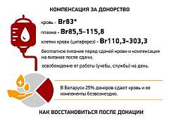 Инфографика: Как стать донором