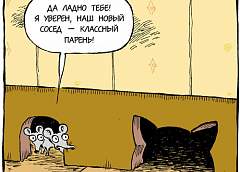 Что делать, если не повезло с соседями?