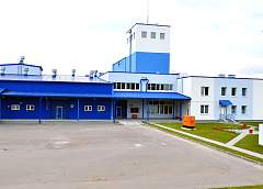 Картошке "накрахмалят мундир". На Рогозницком крахмальном заводе полным ходом идет приемка картофеля
