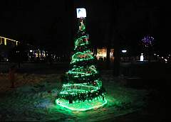 В Гродно зажгли аллею дизайнерских елок «MagicLand»