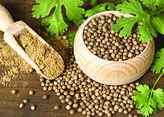 It helps relieve fatigue and aids in digestion. What properties coriander is valued for 