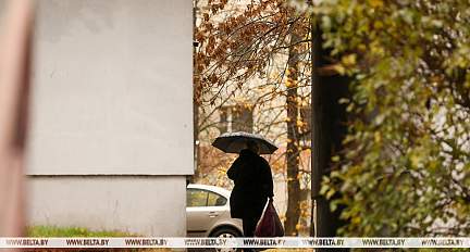 Небольшие дожди и до +13°С. Синоптики рассказали о погоде в Беларуси 1 ноября
