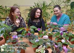 Клуб любителей комнатных растений работает в Гродно